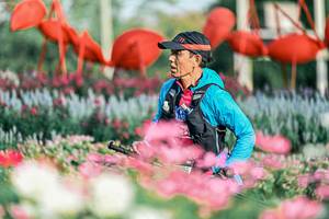 BIB: 
                            <button type="button" onclick="openModal(25933675)" class="btn btn-primary btn-sm float-right btn-popup" data-toggle="modal" data-target=".modal-high-quality">
                        <i class="fas fa-shopping-cart"></i> Add to Cart
                    </button>
                                            <button type="button" onclick="isThisMe(25933675, true)" class="btn btn-success btn-sm float-right btn-popup btn-isme hidden" data-toggle="tooltip" data-placement="bottom" title="นี่คือรูปของคุณใช่ไหม คลิกที่นี่เพื่อเอาเข้าอัลบั้ม">
                        <i class="fas fa-plus"></i> Add to album
                    </button>
                    <button type="button" onclick="isThisMe(25933675, false)" class="btn btn-warning btn-sm float-right btn-popup btn-isnotme hidden">
                        <i class="fas fa-ban"></i> Remove from album
                    </button>